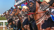 Horse Racing Start Line Horses Heads Exit Gates Close Up Action