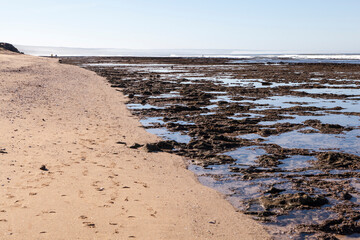 A view over the seaside at Witsand holiday resort .