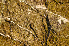The Texture Of The Rock Is Green And Yellow Interspersed With White Lines, The Background Is Nature, Stone