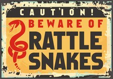 Warning Sign Beware Of Rattlesnakes. Caution Sign Design. Dangerous Snakes And Animals Vector Poster On Old Rusty Damaged Metal Background. 