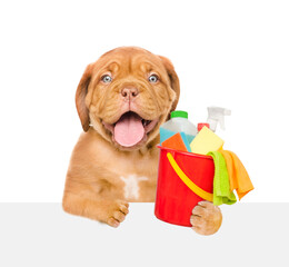 Poster - Cleaning concept. Happy puppy holds bucket with  washing fluids and rags in paws above empty white banner . isolated on white background