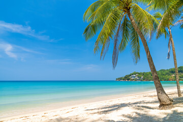 Wall Mural - kamala beach with crystal clear water and coconut tree, famous tourist destination, phuket, thailand