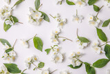 Pattern of bud jasmine and leaves scattered on a gary  background, overhead view. Flat lay