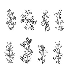 Wall Mural - Hand drawn vector illustration. Set of simple flowers, grass, twigs. Black lines on white background, sketch, Doodle style