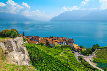 Wall Mural - Rivaz village and vineyards on the lake shore, Switzerland