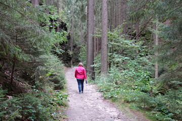 Poster - Frau auf dem Malerweg im Uttewalder Grund