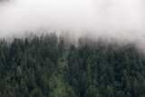 Fototapeta Na ścianę - delle nuvole basse sul bosco dopo un forte temporale in montagna
