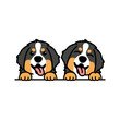 Cute bernese mountain puppy cartoon, vector illustration