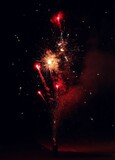 Fototapeta Most - Awesome picture of fireworks in sky, shower style firework with all the little details that you can look and enjoy the beauty, very good quality picture that will cover your needs
this is top notch
