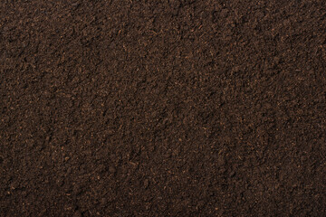 Peat moss