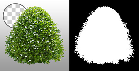 Wall Mural - cut out bush. green foliage isolated on transparent background via an alpha channel. plants for gard
