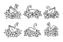 Set Of Line Art Beautiful Swan With Place For Baby Name For Print
