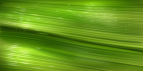 Banana leaf texture, close up green pattern of palm tree foliage with water drops. Vector realistic background with structure of fresh leaf surface. Wallpaper with tropical plant texture