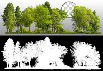 Wall Mural - cutout tree line. row of green trees and shrubs in summer isolated on transparent background via an 