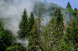 Fire in the forest among the Carpathian mountains