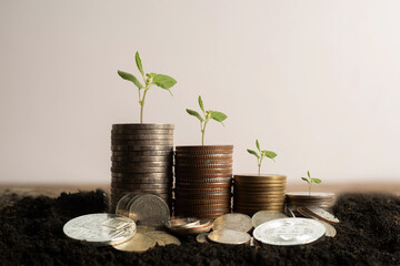 Four Columns of Golden Coins on White Background. Money Growth Concept.