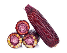 Sweet Red Corn On A White Background