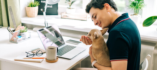 the young business man with puppy dog chihuahua typing on laptop computer while sitting at home and 