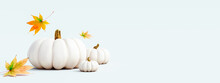 White Pumpkins With Autumn Leaves On White Background 3D Rendering, 3D Illustration