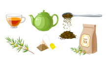 Herbal Rooibos Tea Template Collection. Vector Illustration Cartoon Flat Icon Set Isolated On White Background.