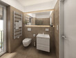 Modern bathroom interior showcase