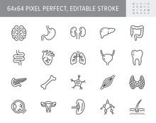 Organs Line Icons. Vector Illustration Include Icon - Muscle, Liver, Stomach, Kidney, Urinary, Eyeball, Bone, Lung, Neuron Outline Pictogram For Human Anatomy. 64x64 Pixel Perfect, Editable Stroke