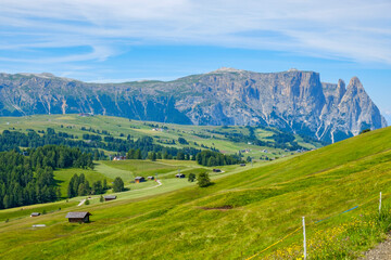 Wall Mural - idyllic alp valley with flowering meadows and mountains