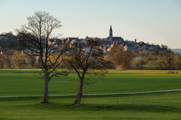 Wall Mural - Nabburg mit zwei Bäumen im Vordergrund zum Sonnenuntergang