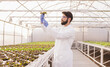 © kegfire - Agronomist examining plants in hydroponic glasshouse