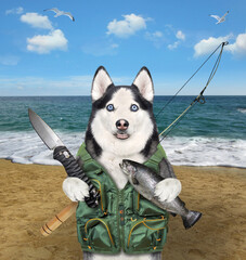 Canvas Print - A dog husky fisher with a rod and a knife caught a trout on a beach of the sea.