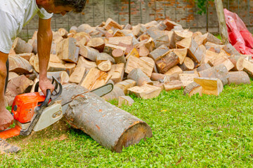 Logger is cutting firewood in the yard with chainsaw