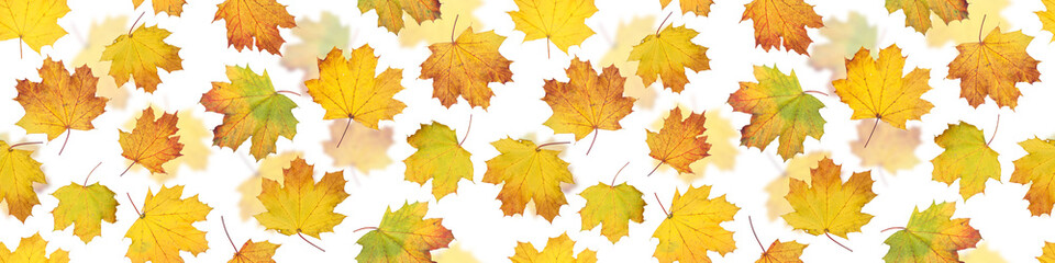 Wall Mural - Autumn leaves seamless pattern