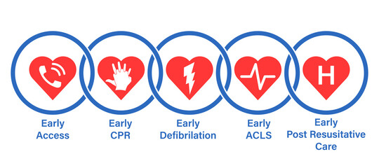Wall Mural - cpr steps chain of survival design. clipart image