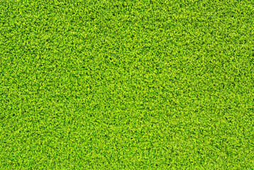 Canvas Print - artificial grass texture for background