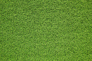 Canvas Print - artificial grass texture for background