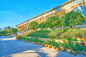 Poster - Flowers in Mussala Gardens, Shiraz, Iran