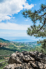 Beautiful pine tree against the backdrop of mountains and blue cloudy sky.Beauty of nature. Pure ecology. Crimea mountains.