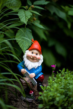 Garden Figure Gnome