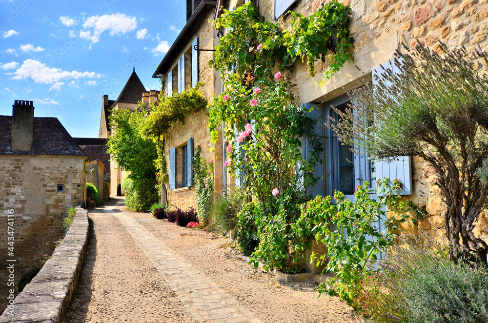 Beautiful street in France filled with vines and flowers in the Dordogne village of Beynac - obrazy, fototapety, plakaty 