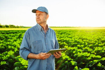 a caucasian farmer with a tablet in his hands stands in the middle of a green field. an agronomist i