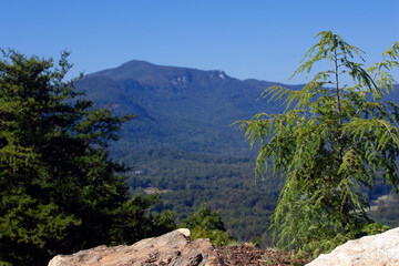 Wall Mural - View of large mountain hill from rocky precipice with trees and blue sky