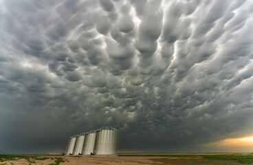 Wall Mural - Prairie Storm Clouds mammatus