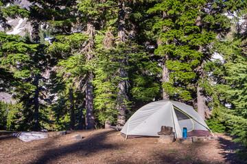 Wall Mural - a small backpacking tent occupies a remote wilderness campsite in a densely wooded forest. hiking bo