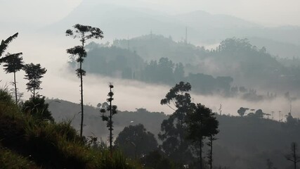 Wall Mural - Timelapse of morning foggy hills in Lembang, Bandung, West Java, Indonesia. Beautiful mountains and hills landscape in the morning.