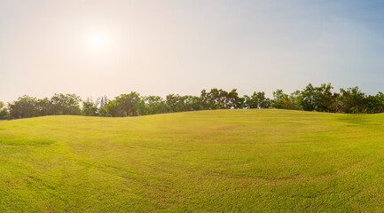 Wall Mural - panorama green grass on golf field in everning time