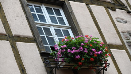 Wall Mural - fenêtres