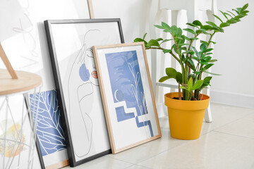 Canvas Print - Stylish pictures and houseplant near light wall