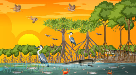 Poster - Mangrove forest landscape scene at sunset time with many different animals