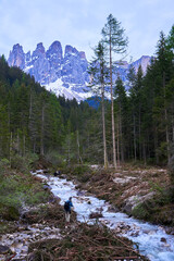 man photographing river with forest and mountain in background near val di funes in south tyrol, north of italy, europe