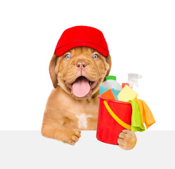 Poster - Cleaning concept. Happy puppy wearing red cap holds bucket with  washing fluids and rags in paws above empty white banner . isolated on white background